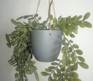 Grahamstown Apartment | Radiant Residence