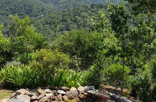 Hoekwil Apartment | Round the Bend