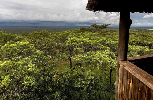 Kosi Bay Cabin | Royal Thonga Safari Lodge