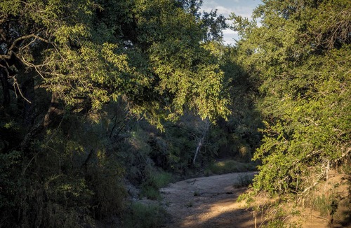 Kruger National Park Other | Satara Wild Camp- Greater Kruger
