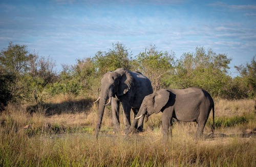 Kruger National Park Other | Satara Wild Camp- Greater Kruger