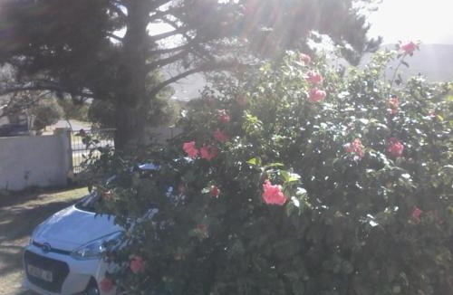 Sandbaai House | Self Catering Unit , Sandbaai