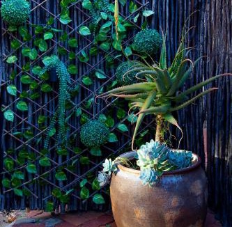 Waverley House | Sixty Three
