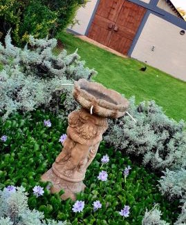 Krugersdorp Bed & Breakfast | The Darling Farmstyle B&B