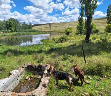 Clarens Ski Chalet | The GingerPig Inn