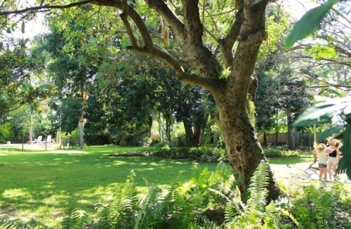 UPhongolo House | The Guest House Pongola