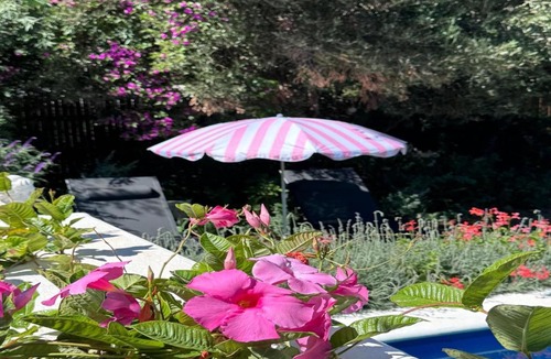 Montagu Bed & Breakfast | The Montagu Coach House