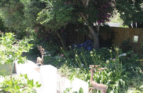 Montagu Bed & Breakfast | The Montagu Coach House