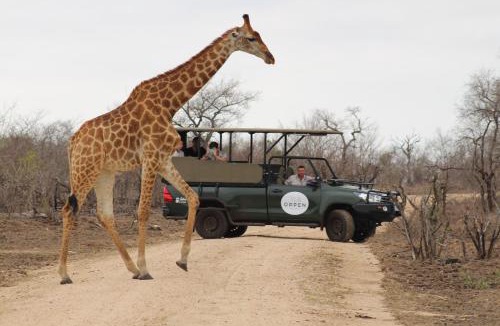 Thorny Bush Game Reserve Cabin | The Orpen Kruger, Cork Tree Collection