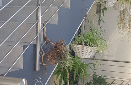 St. Helena Bay Apartment | Beachfront Accommodation