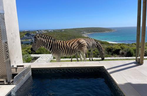 Gansbaai Villa | Zebra Views Front-Row Ocean Villa Romansbaai