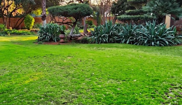30 on Latham Guesthouse in Klerksdorp