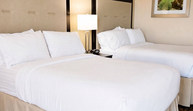 4 Units | Harbor Area Stay w/Pool Access | Near Museum of Science & History in Corpus Christi