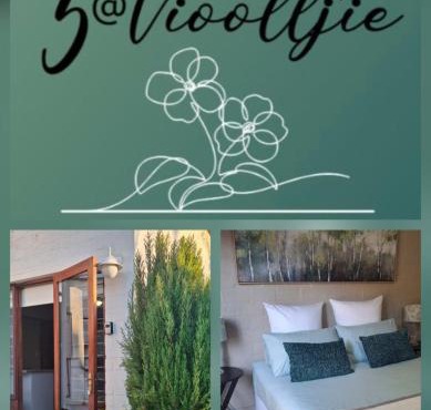 5Viooltjie in Riversdale