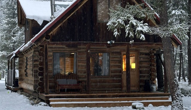 A Log Cabin in the Woods in Mazama