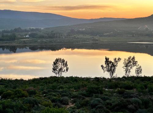 A State of Grace in Clanwilliam