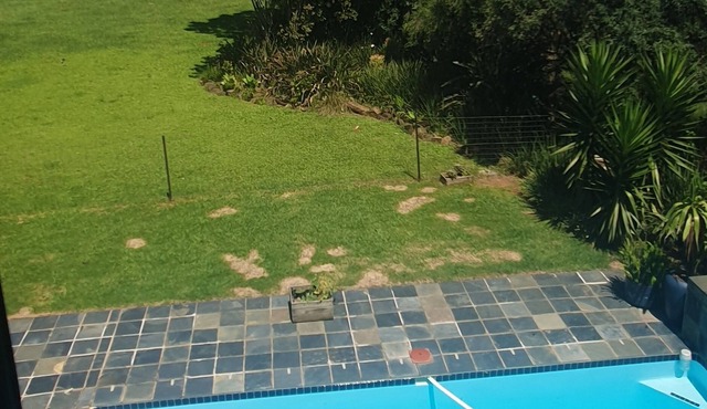 African Gem in Howick