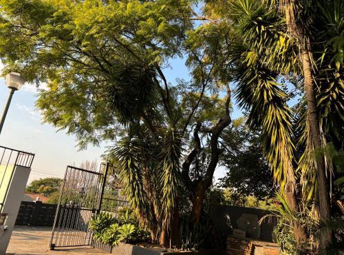 Alheri house in Pretoria