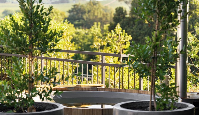 Avemore Olive Apartment - your new favourite accommodation in the Winelands! in Stellenbosch