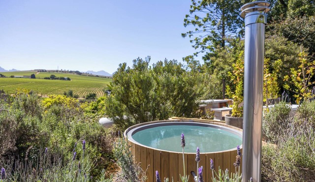 Avemore Orchard Apartment - amazing views where R&R is the name of the day. in Stellenbosch