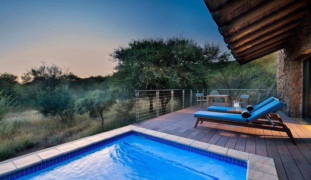 Babohi at Qwabi Private Game Reserve in Thabazimbi