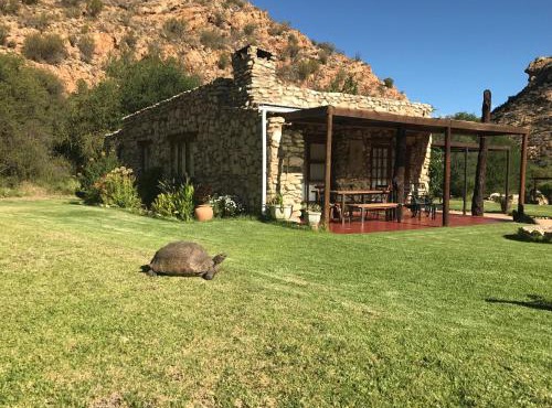 Baviaanskloof Duiwekloof Lodge in Studtis