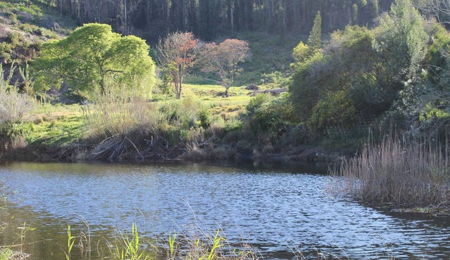 Blackwaters River Lodge in Knysna