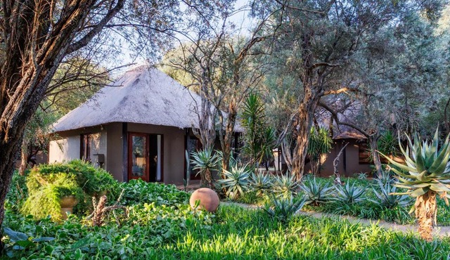 Cheasas Peak Safaris in Petrusburg