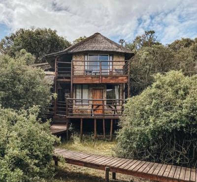 Coombs View Reserve in Grahamstown