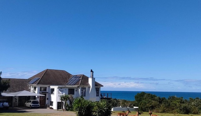 Cove View B&B in East London