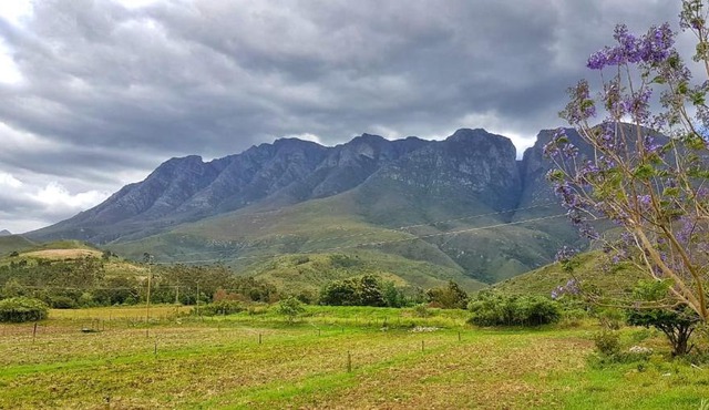 Die Hoenderhok and Die Plaashuisie in Swellendam