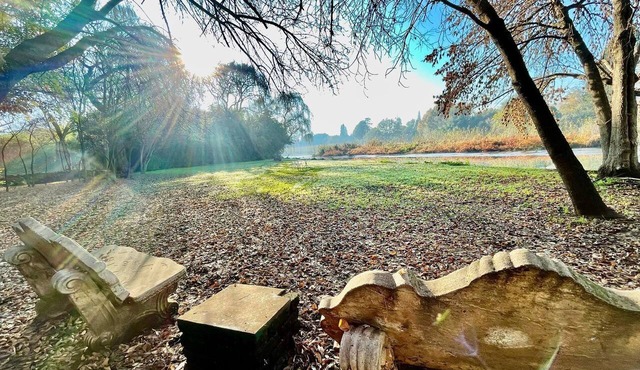 Ducks Country House in Meyerton