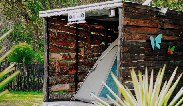 Flow @ Tides Glamping is a secluded glamping retreat surrounded by trees. in Pearly Beach