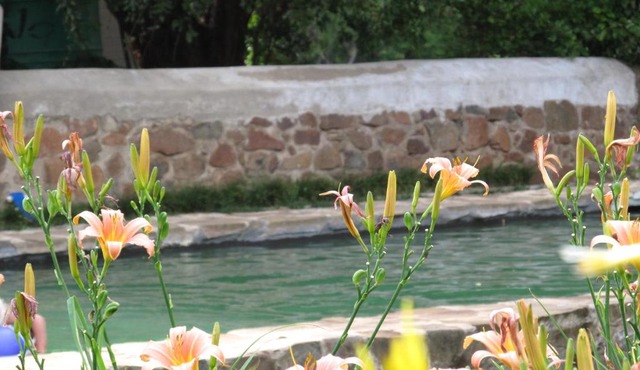 Hillside Farm in Springfontein
