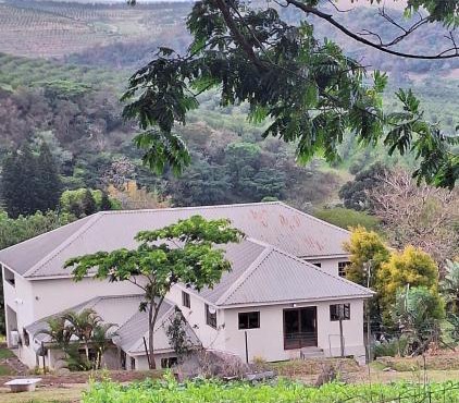 Ibokwe homested in Umhlali