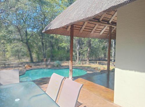 Iphupho Bush Lodge, Ba-Phalaborwa Golf Estate in Phalaborwa