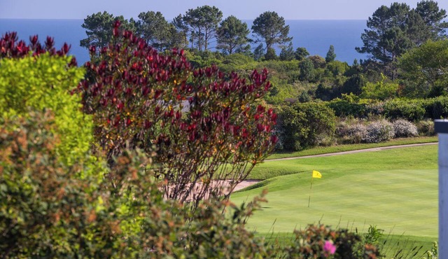 Jewel of Pezula in Knysna