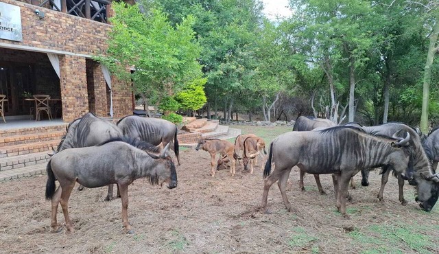 Kruger Riverside Lodge in Nkomazi
