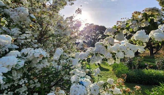 Lalani B&B/Self catering Cottages in Riversdale