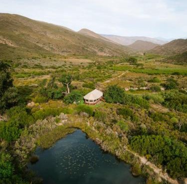 Majestic wonders in Knysna