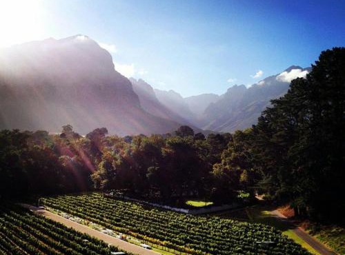 MolenVliet Estate - Boutique Bed & Breakfast in Stellenbosch
