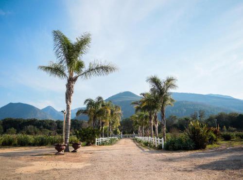 Mountain Breeze Log Cabins in Sanddrif