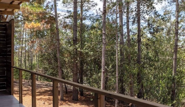 Myrtle Forest Retreat Cabin Verandah + Braai in Plettenberg Bay