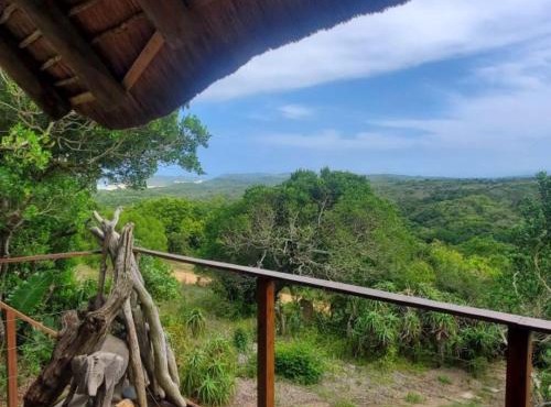Oysterbay Nature Retreat in Oyster Bay