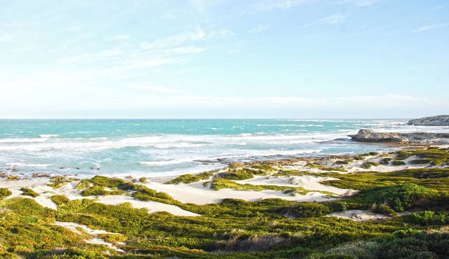 Peaceful 4-bedroom house in Arniston perfect for relaxing stays in Arniston