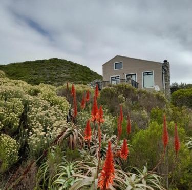 Peaceful Seaside Cottage, Betty's Bay Accommodation in Clareport