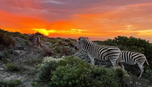 Romansbaai Oceanview Family Houe in Gansbaai
