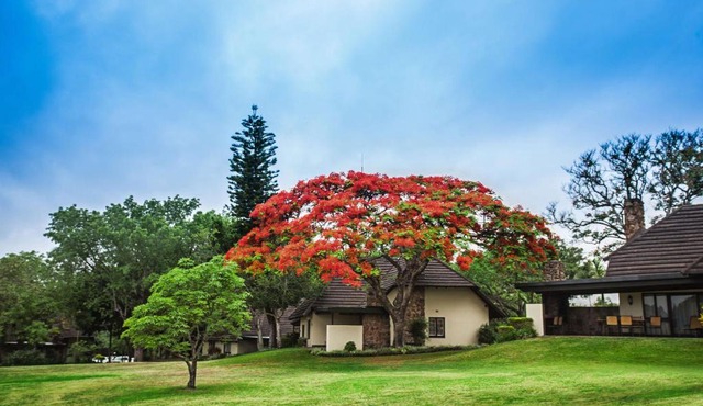 Sabi River Sun Resort in Hazyview