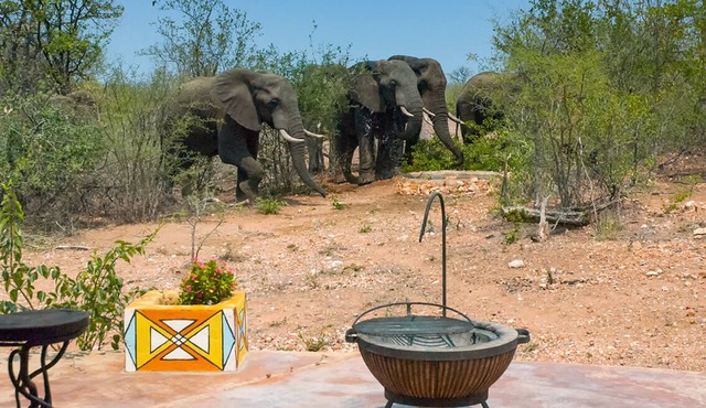 Safari Lodge in Kruger National Park with a waterhole and a hot tub in Phalaborwa