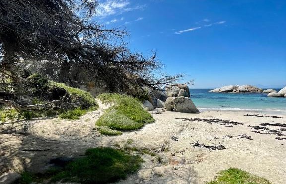 Sail Away Studios in Simonʼs Town